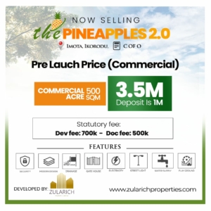PINEAPLES 2.0 COMERCIAL - IMOTA IKORODU