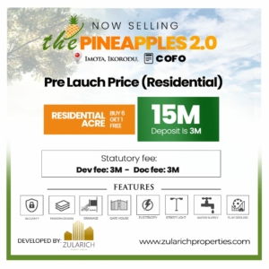PINEAPLES 2.0 RESDENTIAL - IMOTA IKORODU
