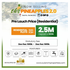 PINEAPLES 2.0 RESDENTIAL - IMOTA IKORODU